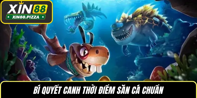 Bí quyết canh thời điểm săn cá chuẩn
