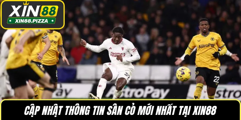 Cập nhật thông tin sân cỏ mới nhất tại XIN88