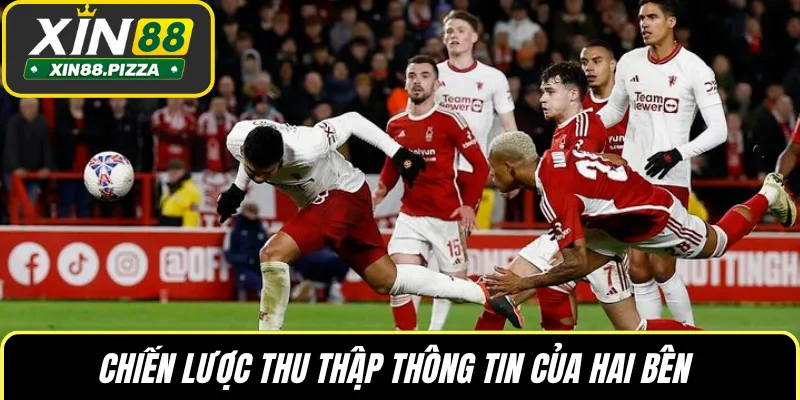 Chiến lược thu thập thông tin của hai bên 