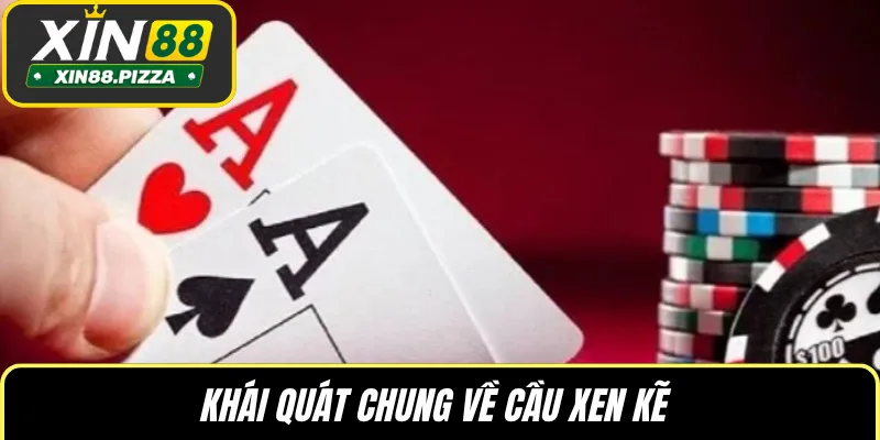 Khái quát chung về cầu xen kẽ