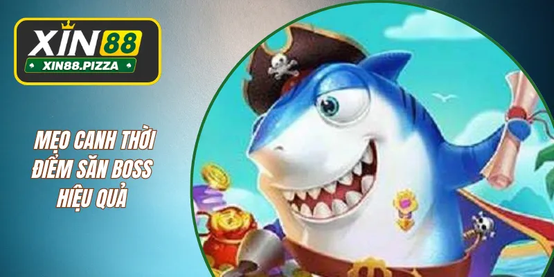 Mẹo canh thời điểm săn boss hiệu quả 