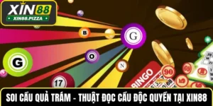 Soi Cầu Quả Trám – Thuật Đọc Cầu Độc Quyền Tại XIN88