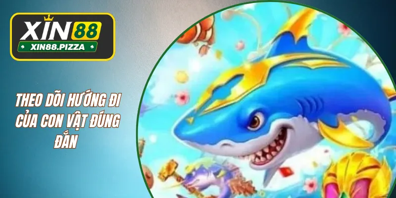 Theo dõi hướng đi của con vật đúng đắn 