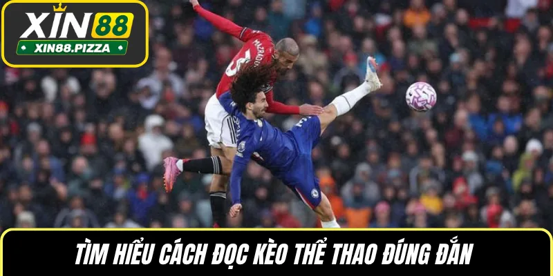 Tìm hiểu cách đọc kèo thể thao đúng đắn