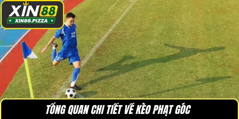 Tổng quan chi tiết về kèo phạt góc