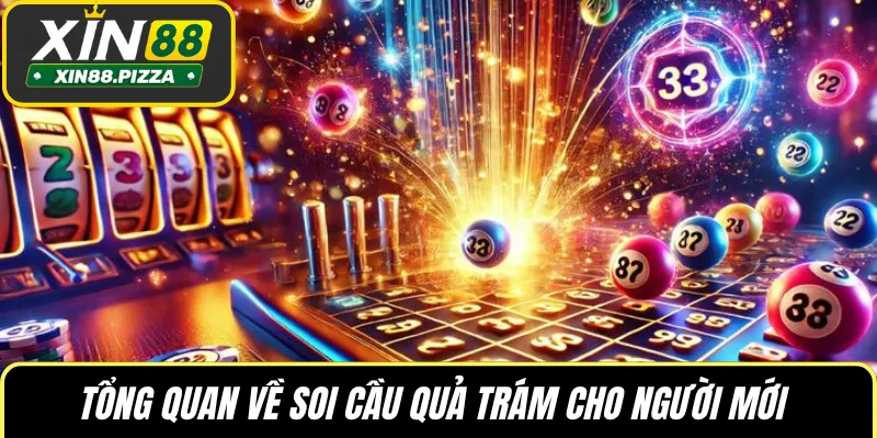 Tổng quan về soi cầu quả trám cho người mới