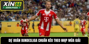Dự Đoán Bundesliga Chuẩn Kèo Theo Nhịp Mùa Giải