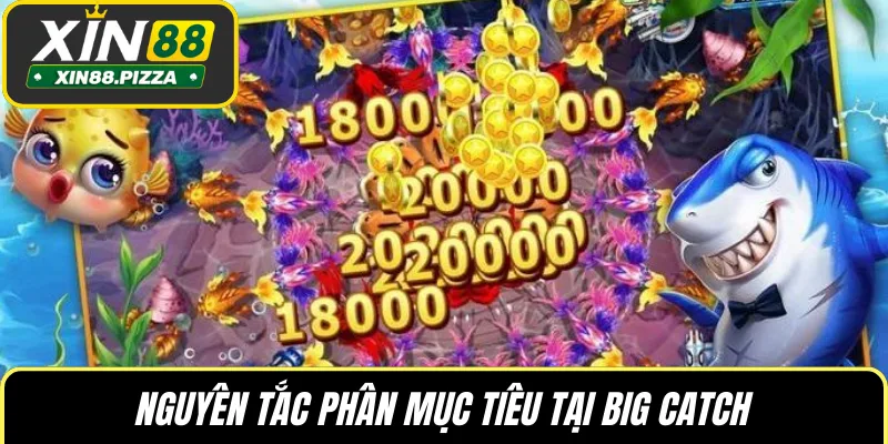 Nguyên tắc phân mục tiêu tại Big Catch