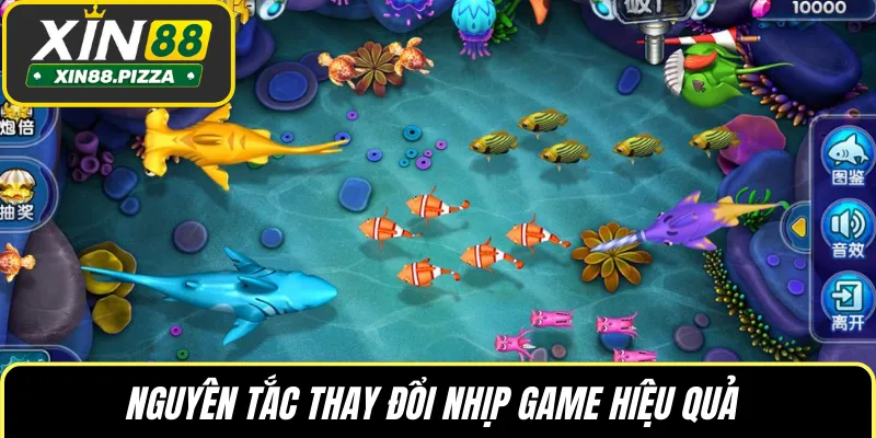Nguyên tắc thay đổi nhịp game hiệu quả